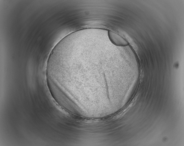 X0000116651386201001111220