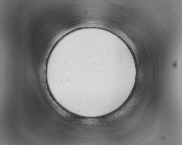 X0000116651388201001111220