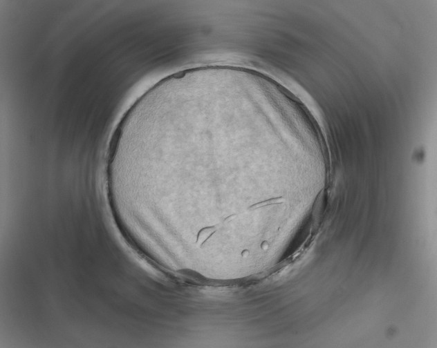 X0000116651389201001111220