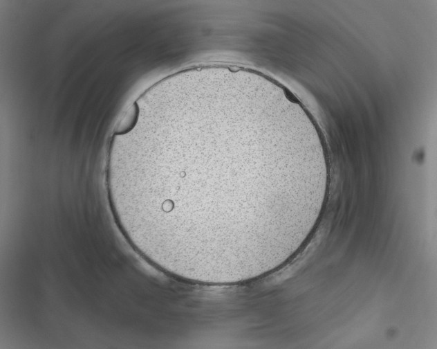 X0000116651390201001111220