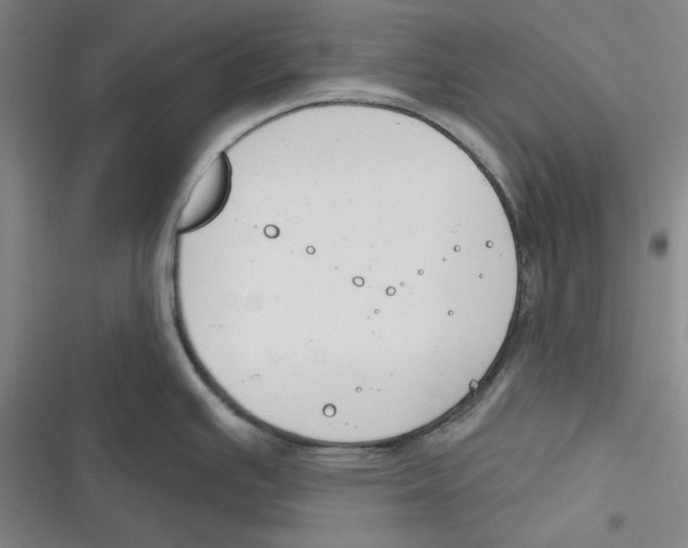 X0000116651391201001111220