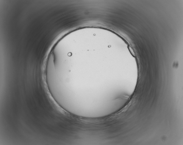 X0000116651392201001111220