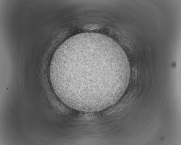 X0000116651393201001111219