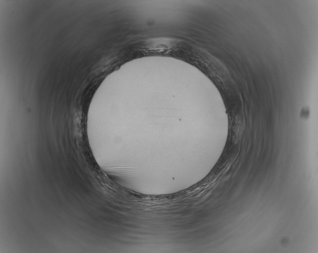 X0000116651394201001111219