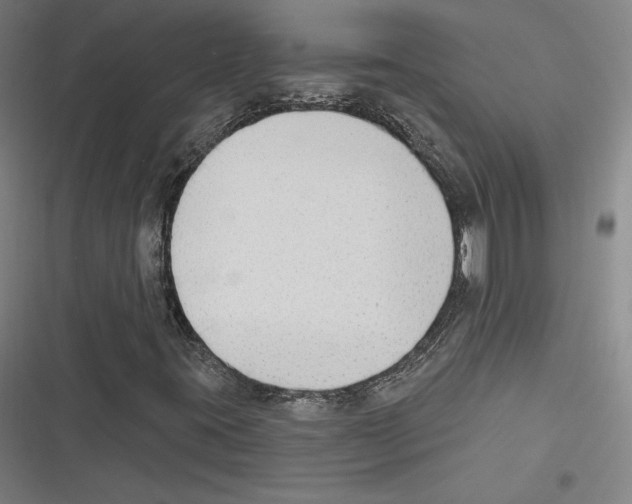 X0000116651395201001111219