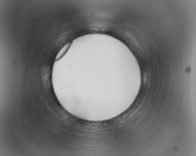 X0000116651396201001111219