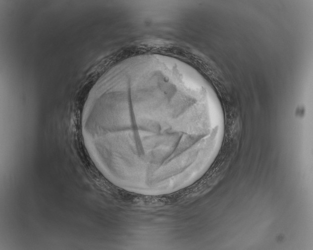 X0000116651397201001111219