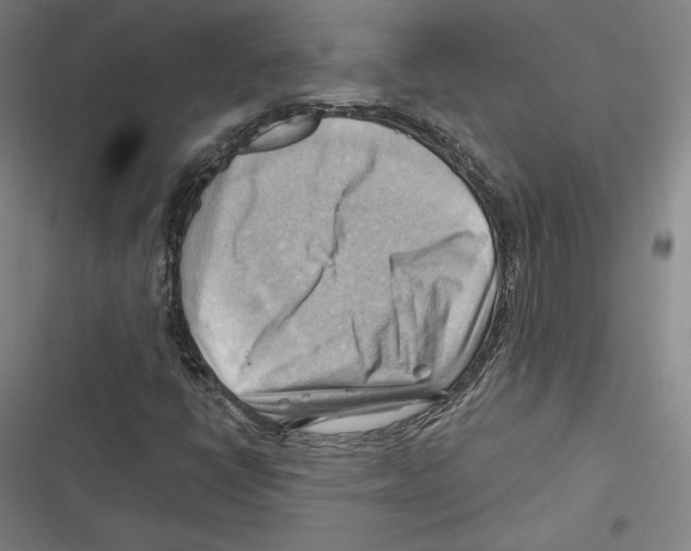 X0000116651398201001111219