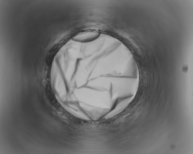 X0000116651399201001111219