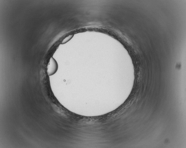 X0000116651400201001111219