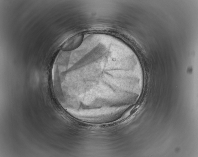 X0000116651401201001111219