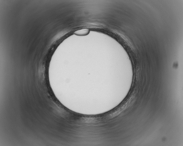 X0000116651402201001111219