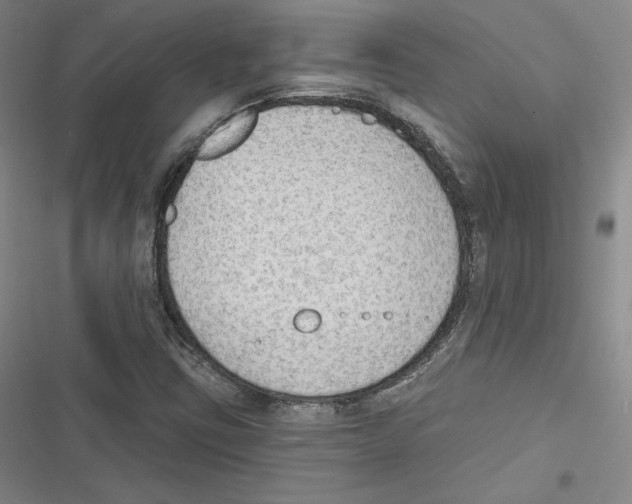 X0000116651403201001111219