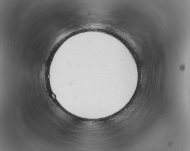 X0000116651404201001111219