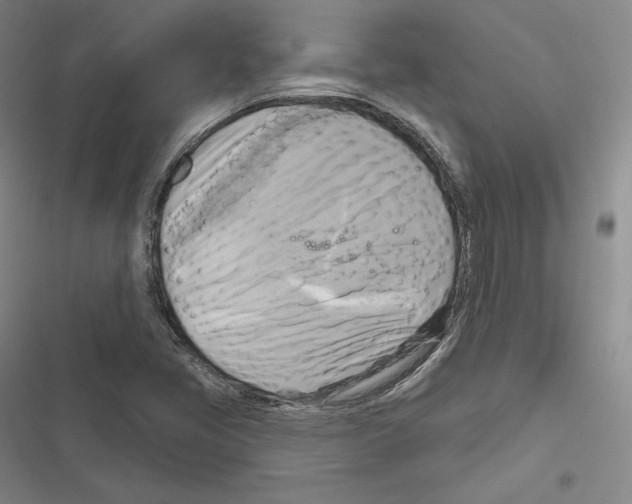 X0000116651405201001111219