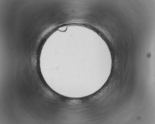 X0000116651406201001111219