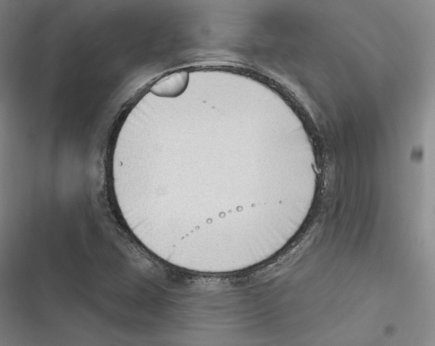 X0000116651407201001111219