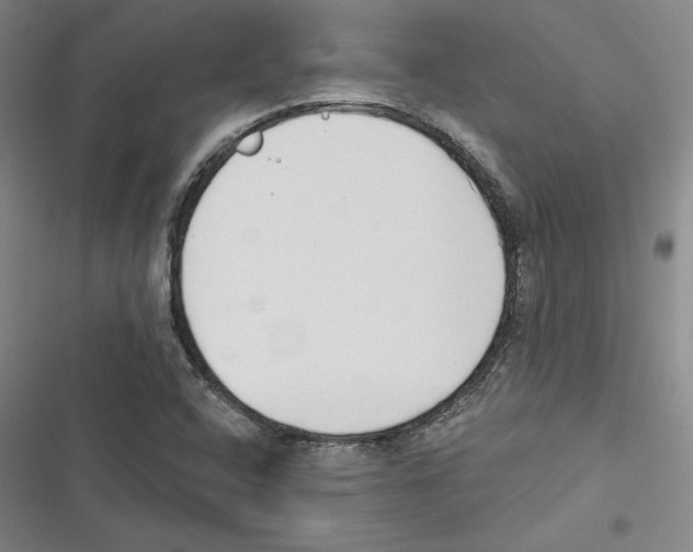 X0000116651408201001111219