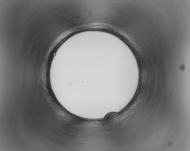 X0000116651410201001111219