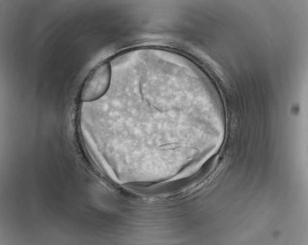 X0000116651411201001111219