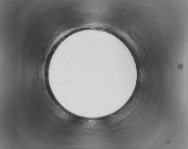 X0000116651412201001111219