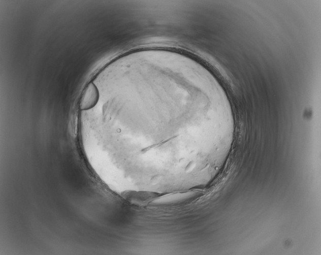 X0000116651413201001111219