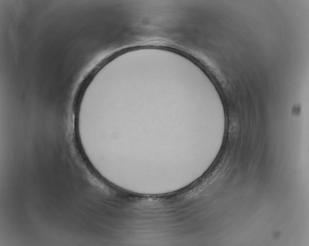 X0000116651414201001111219