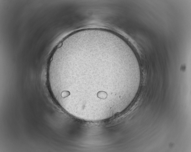 X0000116651415201001111219