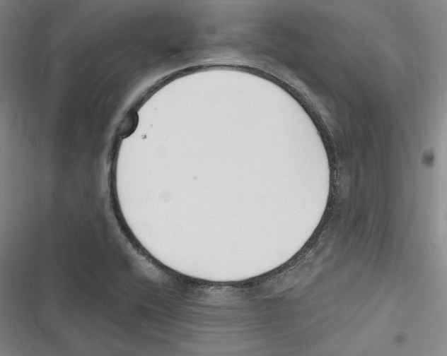 X0000116651416201001111219