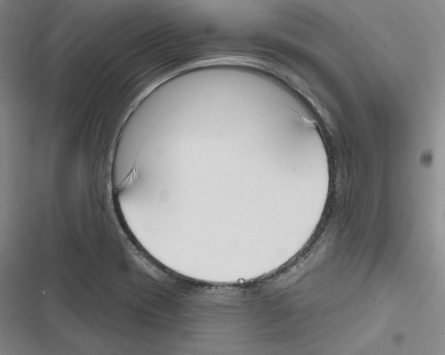 X0000116651417201001111219