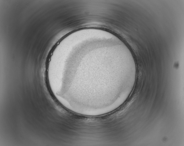 X0000116651418201001111219