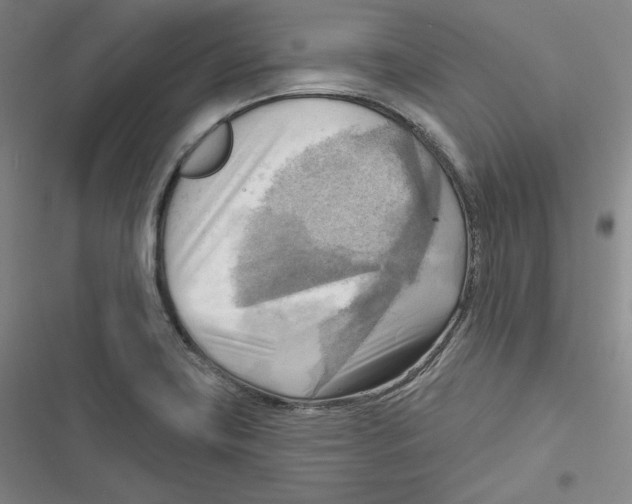 X0000116651419201001111219