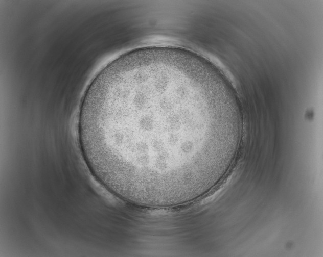 X0000116651421201001111219