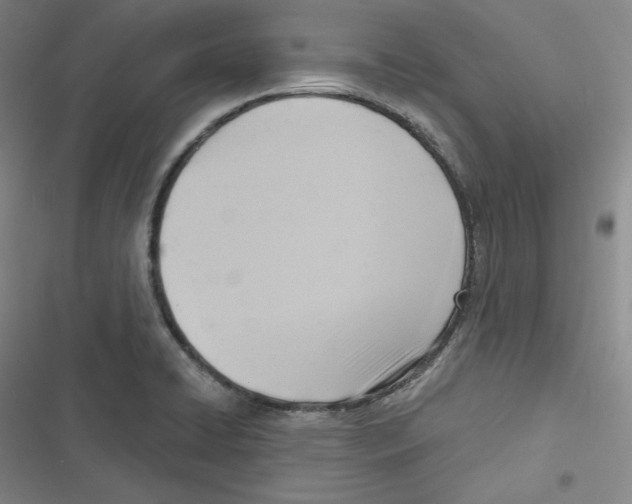 X0000116651422201001111219