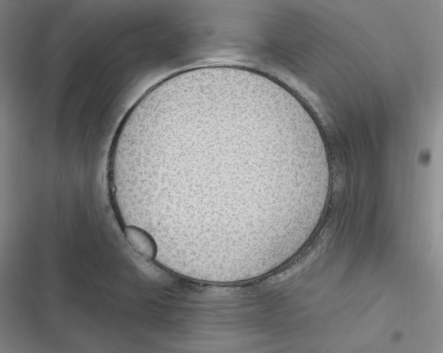 X0000116651423201001111219