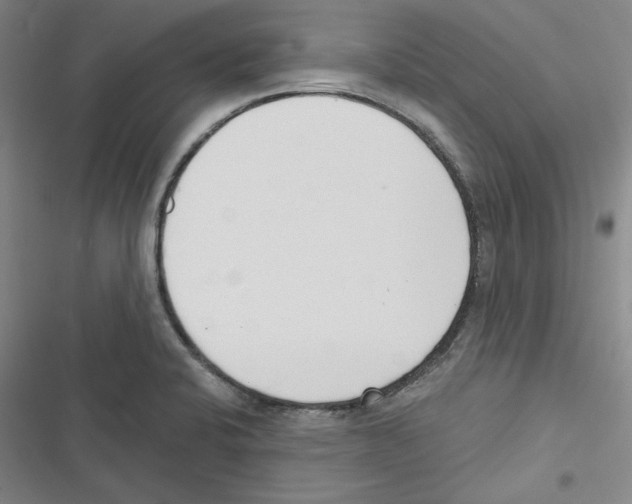 X0000116651424201001111219