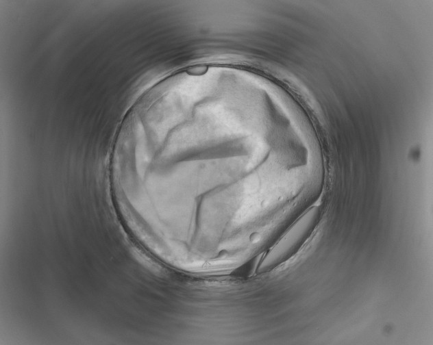 X0000116651425201001111219