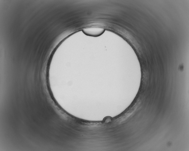 X0000116651426201001111219