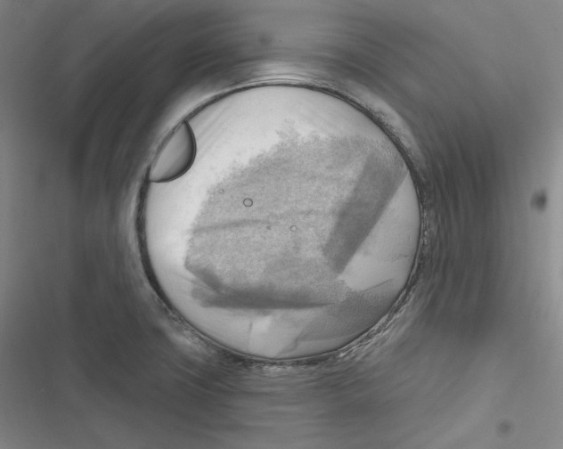 X0000116651427201001111220