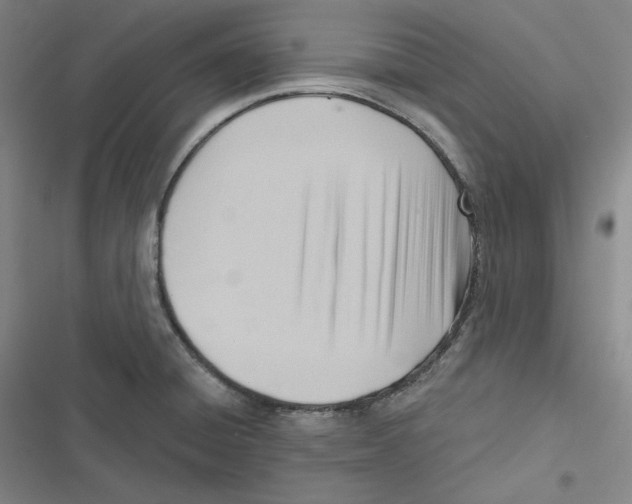 X0000116651428201001111220