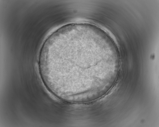 X0000116651429201001111220