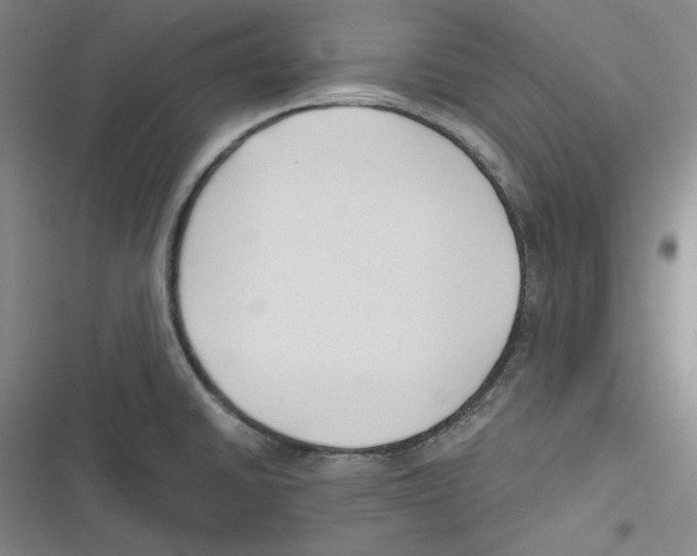 X0000116651430201001111220