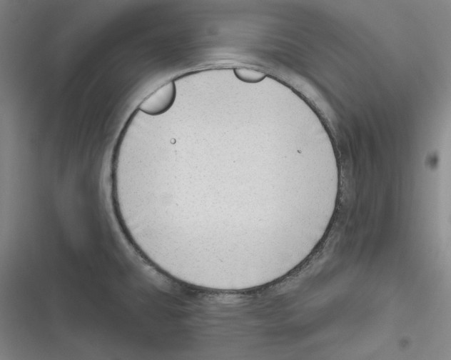 X0000116651431201001111220