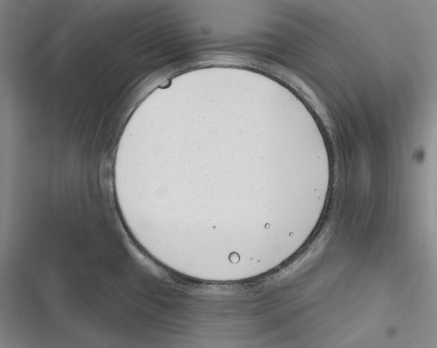 X0000116651433201001111220