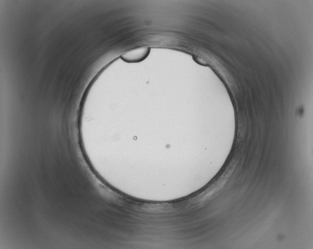 X0000116651434201001111220