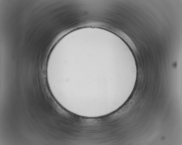 X0000116651436201001111220