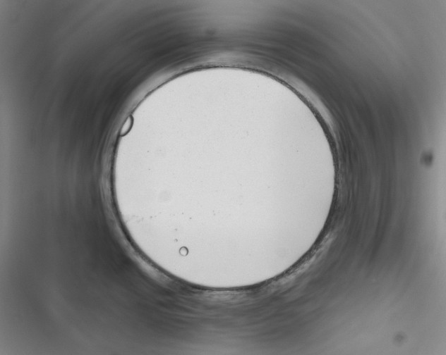 X0000116651437201001111220