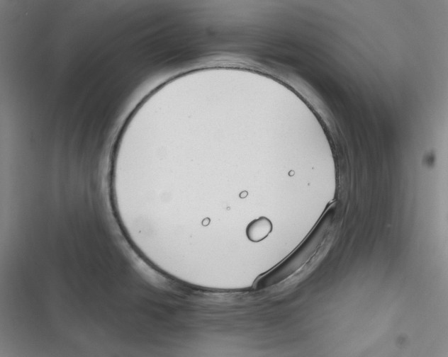 X0000116651438201001111220