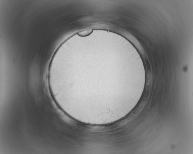 X0000116651439201001111220