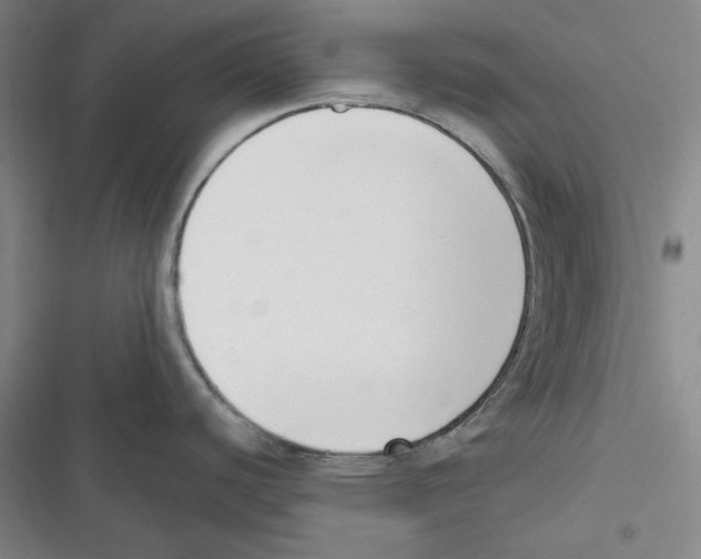 X0000116651440201001111220